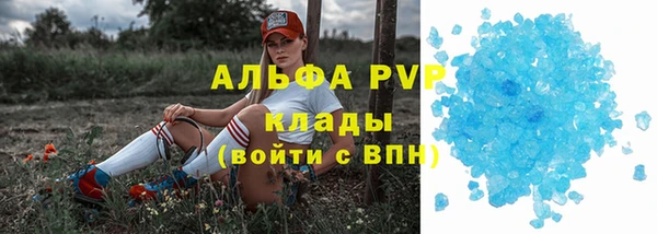 стаф Нефтекумск