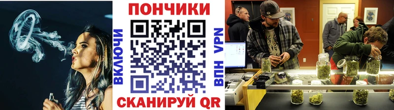 Купить закладки  Камышин  Марихуана сатива